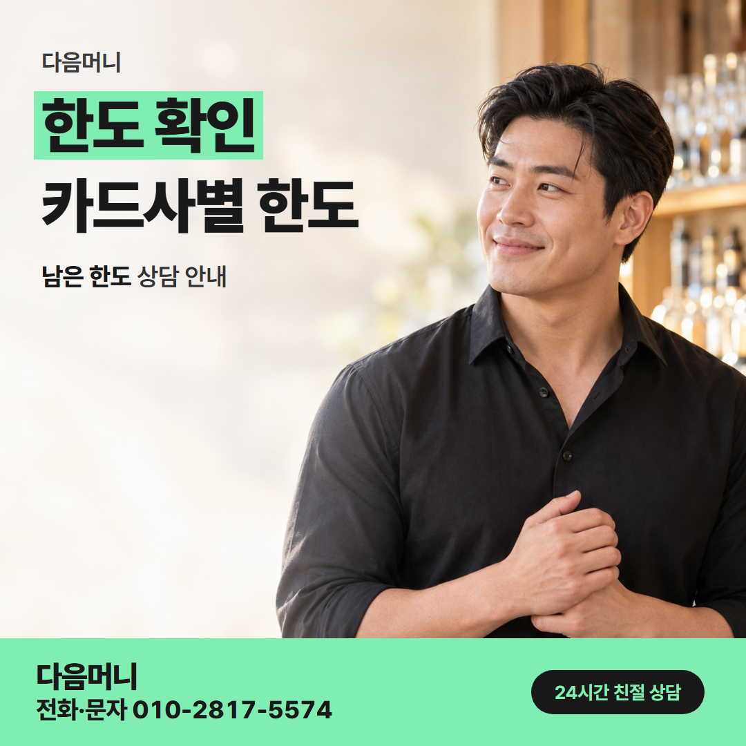 다음머니 방배카드깡 무이자 행사 달에 조회하는 남은 한도